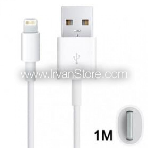 Apple OEM Lightning USB Cable - White